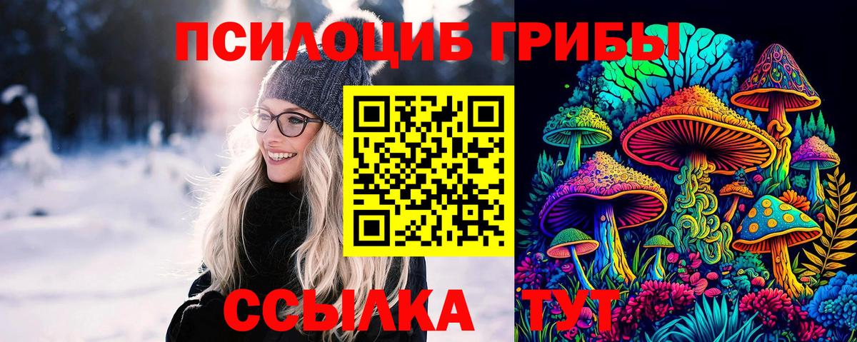 цены   Галлюциногенные грибы Psilocybine cubensis  Вход с VPN  Мурино 